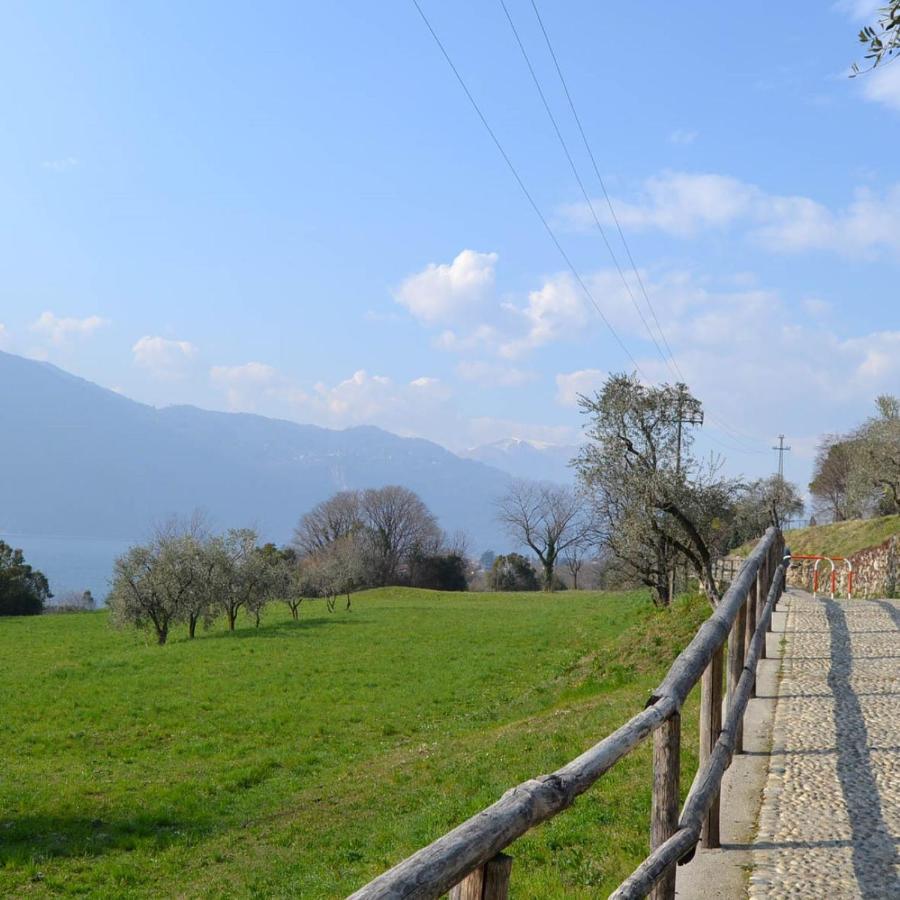 Vila La Cascina Della Vigna Del Viandante Abbadia Lariana Exteriér fotografie
